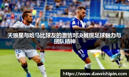天狼星与哈马比球友的激情对决展现足球魅力与团队精神