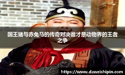 九游娱乐官网